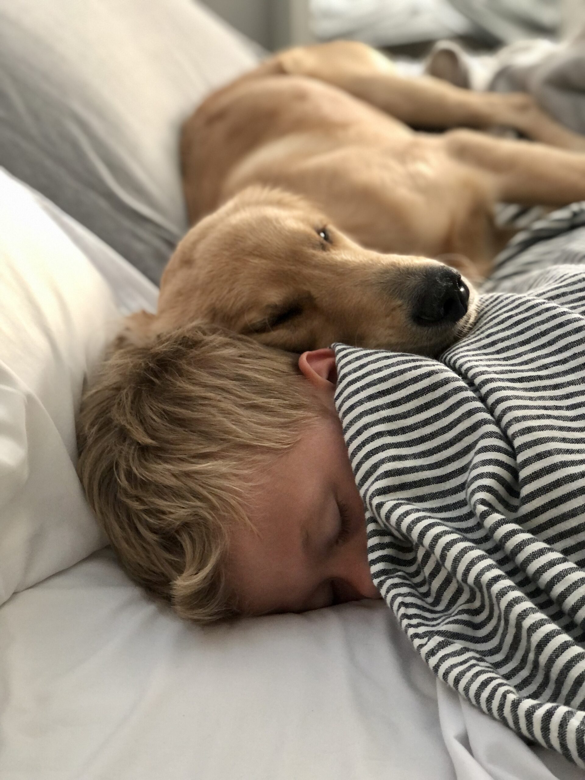 01 sandor sleeping against his boy, very sweet