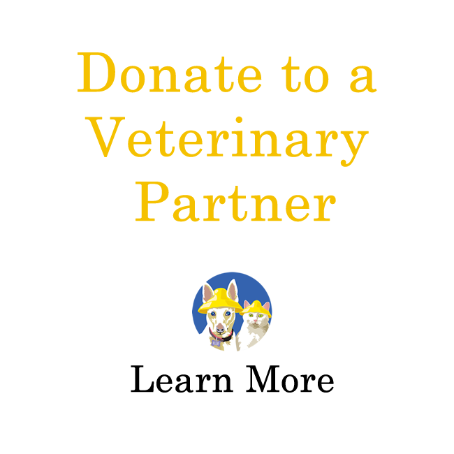 Veterinary Partner Fund.fw