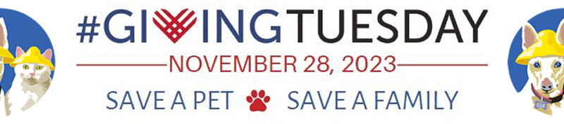 giving-tuesday2.fw_-800×177